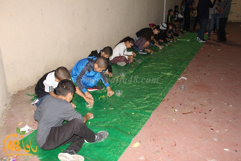 zhtooon nady slamy (11).JPG